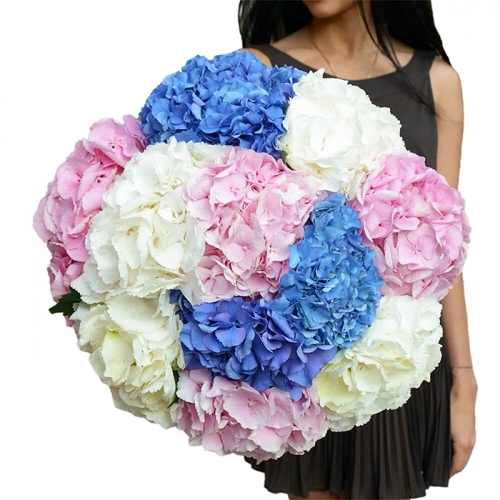 Большой букет гортензий